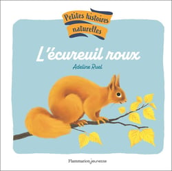 Petites histoires naturelles : L'écureuil roux