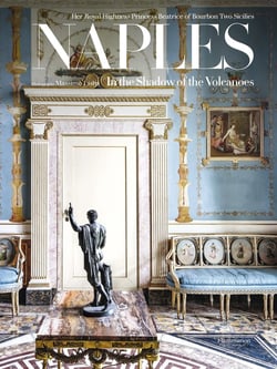 Naples : In the Shadow of the Volcanoes