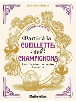 Partir à la cueillette des champignons