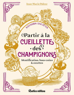 Partir à la cueillette des champignons