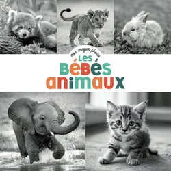 Mon imagier photos : Les bébés animaux