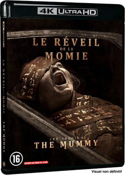 Le Réveil de la momie