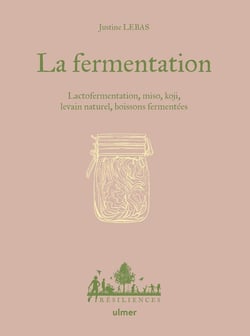 La fermentation - Lactofermentation, miso, koji, boissons fermentées...