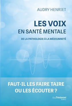 Entendeurs de voix, au-delà de la pathologie - Les dimensions invisibles et spirituelles en santé mentale