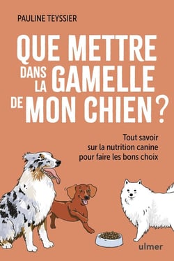 Que mettre dans la gamelle de mon chien ? Tout savoir sur la nutrition canine pour faire les bons choix