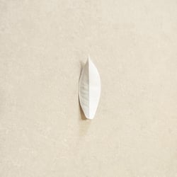 The Complexity Of The Simple