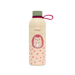 Bouteille isotherme Mr Wonderful - Hérisson - 500 ml