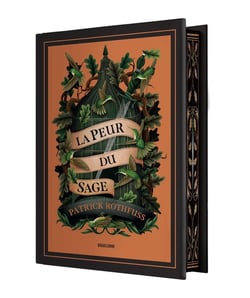 Chronique du Tueur de Roi, T2 : La Peur du Sage