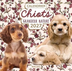 Calendrier chiots grandeur nature (édition 2027)