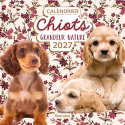 Calendrier chiots grandeur nature (édition 2027)