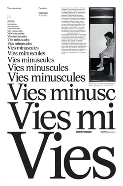 Vies minuscules