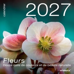Calendrier mural : Fleurs (édition 2027)