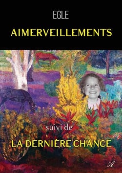 Aimerveillements, suivi de Au fil des jours Tome 2 : La dernière chance