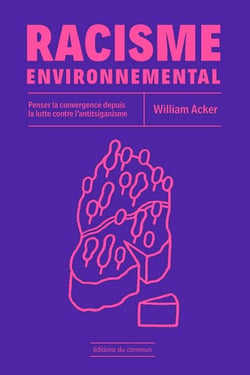 Racisme environnemental : Penser la convergence depuis la lutte contre l'antitsiganisme