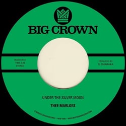 Under The Silver Moon + Through The Changes