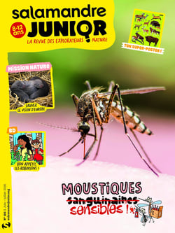 La salamandre junior n.166 : Juin 2026