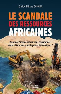 Le scandale des ressources africaines : Pourquoi l'Afrique extrait sans transformer causes historiques politiques économiques ?