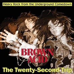 Brown Acid /The Twenty-Second Trip