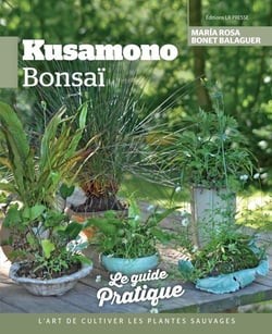 Kusamono bonsaï : L'art de cultiver les plantes sauvages