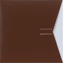 Sensitive geometries : brazil 1950s-1980s /anglais