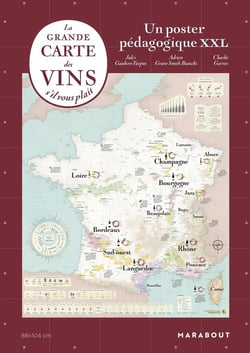 La grande carte des vins de France s'il vous plaît : Un poster pédagogique XXL