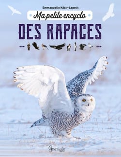 Ma petite encyclo : Des rapaces