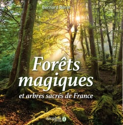 Forets magiques et arbres sacres de france