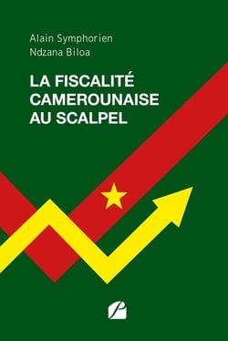 La fiscalité camerounaise au scalpel