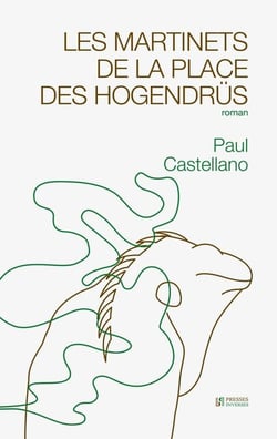 Les martinets de la place des Hogendrüs