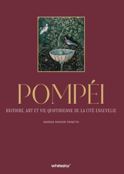 Pompéi : Histoire, art et vie quotidienne de la cité ensevelie