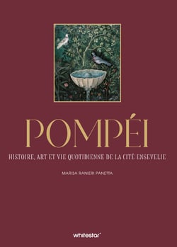 Pompéi : Histoire, art et vie quotidienne de la cité ensevelie
