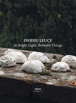 Magonza na 150 : ovidiu leuce. in bright light, between things (it-eng)