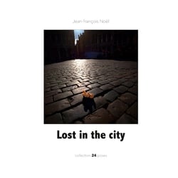 Lost in the city