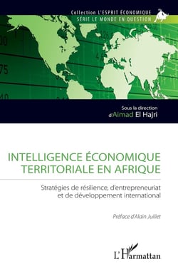 Intelligence économique territoriale en Afrique : Stratégies de résilience, d'entrepreneuriat et de développement international