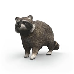 Figurine raton-laveur - Schleich