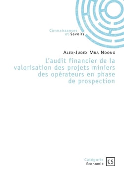 L'audit financier de la valorisation des projets miniers des opérateurs en phase de prospection : Ou comment fiabiliser l'incertitude