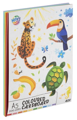 MOXY PAPIER A5 COLORE
