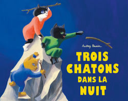 Trois chatons dans la nuit