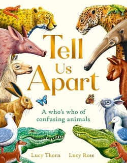 Tell us apart /anglais
