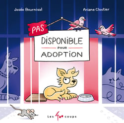 Pas disponible pour adoption