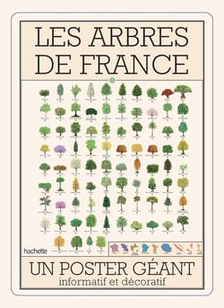 Les arbres de France : Un poster géant informatif et décoratif