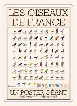 Les oiseaux de France : Un poster géant informatif et décoratif