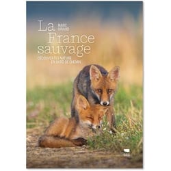 La france sauvage - decouvertes nature en bord de chemin