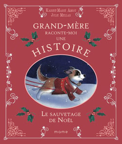 Le sauvetage de noel