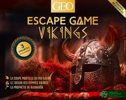 Escape Game : Vikings