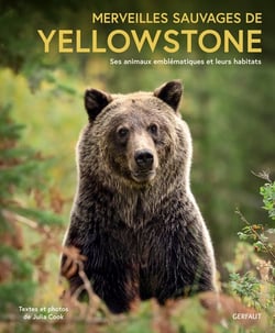 Merveilles sauvages de Yellowstone : ses animaux emblématiques et leurs habitats