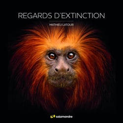 Regards d'extinction