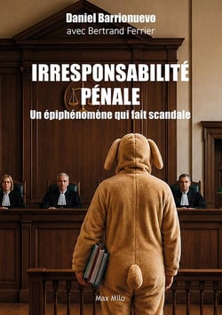 L'irresponsabilité pénale, un épiphénomène qui fait scandale