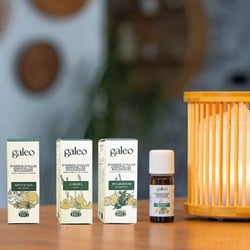 Synergie d'huiles essentielles biologiques Galeo - Relaxation - 10 ml