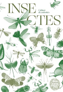 Insectes - minuscules colosses